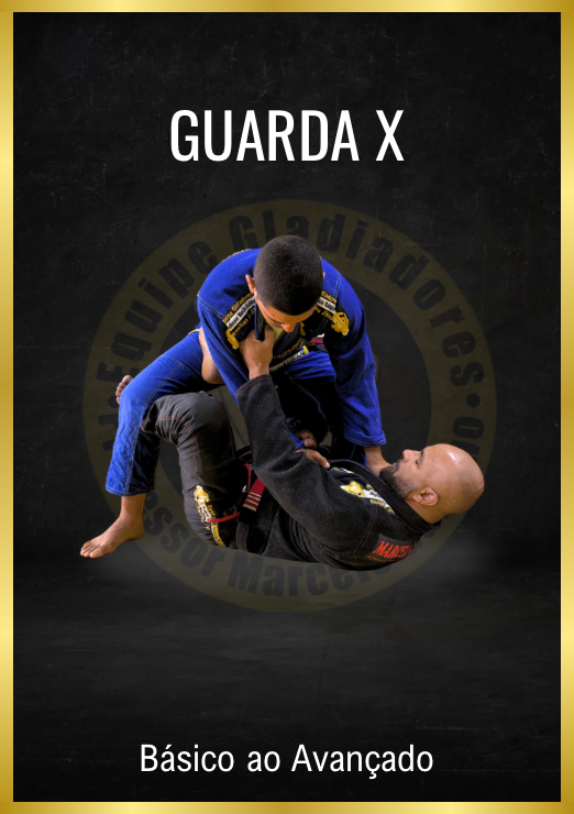 Curso de Guarda X