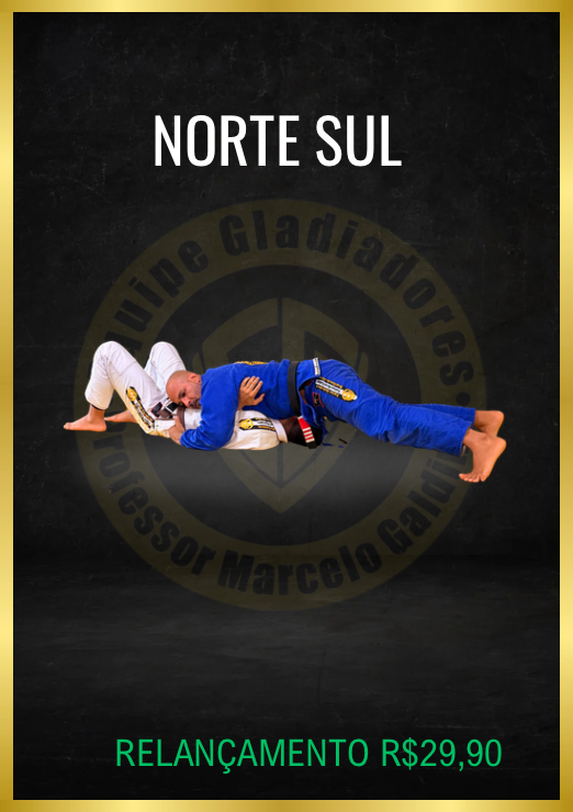 Curso Norte Sul Ataques e Defesas